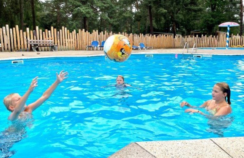 Zwembad spelletjes